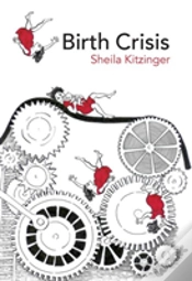 Capa do artigo Birth Crisis