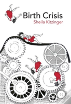 Capa do artigo Birth Crisis