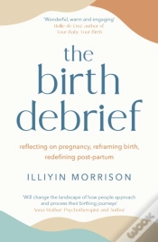 Capa do artigo Birth Debrief