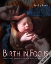 Capa do artigo Birth In Focus