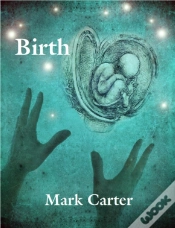 Capa do artigo Birth