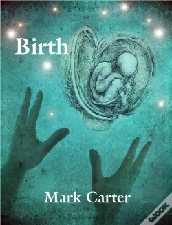 Capa do artigo Birth