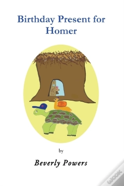 Capa do artigo Birthday Present For Homer