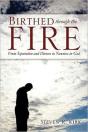 Birthed Through The Fire - Preview