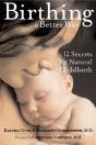 Birthing A Better Way - Preview