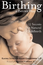 Capa do artigo Birthing A Better Way