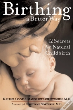 Capa do artigo Birthing A Better Way