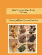 Birthing Buddies From Africa - Preview