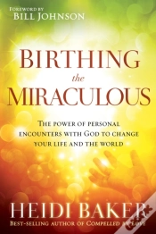 Capa do artigo Birthing The Miraculous