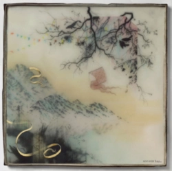 Capa do artigo Birthplace - CD