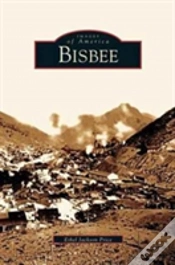 Capa do artigo Bisbee