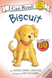 Capa do artigo Biscuit