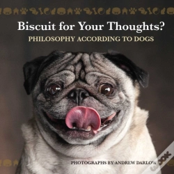 Capa do artigo Biscuit For Your Thoughts?