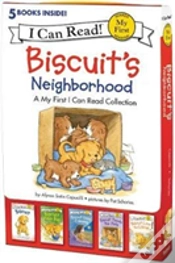 Capa do artigo Biscuit