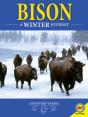 Bison: A Winter Journey - Preview