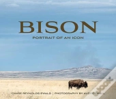 Bison