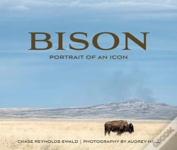 Capa do artigo Bison
