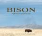 Bison - Preview