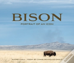 Capa do artigo Bison