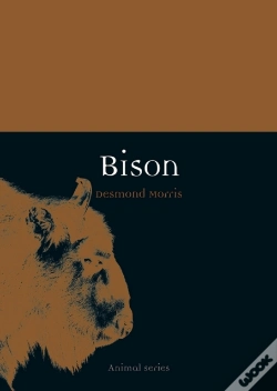 Capa do artigo Bison