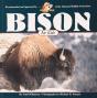 Bison For Kids - Preview