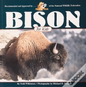 Bison For Kids