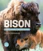 Bison - Preview