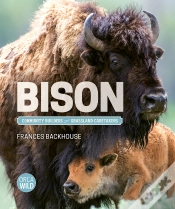Capa do artigo Bison