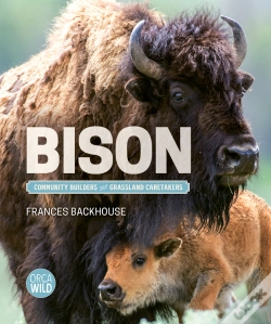 Capa do artigo Bison