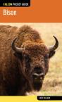Bison - Preview