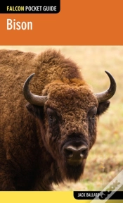 Capa do artigo Bison