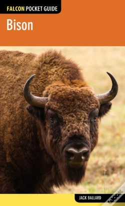 Capa do artigo Bison