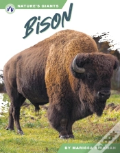 Capa do artigo Bison