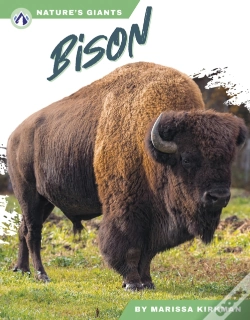 Capa do artigo Bison