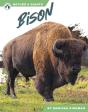 Bison - Preview