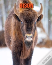 Capa do artigo Bison