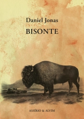 Capa do artigo Bisonte