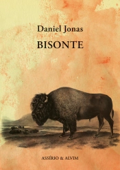 Capa do artigo Bisonte