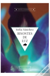 Capa do artigo Bisontes De Luz