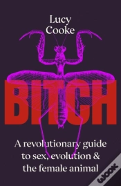 Capa do artigo Bitch