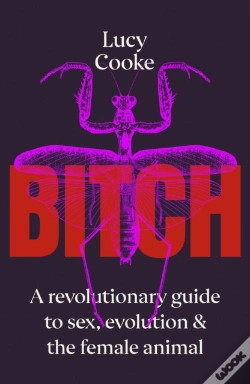 Capa do artigo Bitch