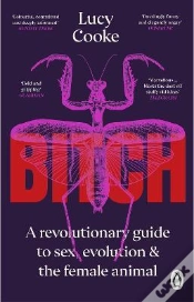 Capa do artigo Bitch