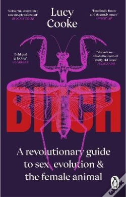 Capa do artigo Bitch