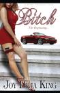 Bitch The Beginning - Preview