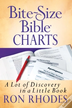 Capa do artigo Bite-Size Bible Charts