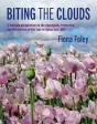 Biting The Clouds - Preview