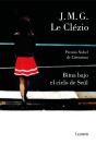 Bitna Bajo El Cielo De Seúl - Preview