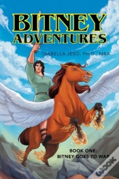 Capa do artigo Bitney Adventures