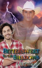Capa do artigo Bittersweet In The Shadows