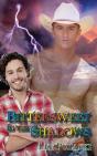 Bittersweet In The Shadows - Preview